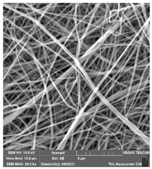 Polymers 14 01102 i007