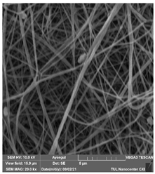 Polymers 14 01102 i009