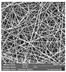 Polymers 14 01102 i010