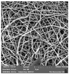 Polymers 14 01102 i011