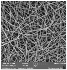 Polymers 14 01102 i012