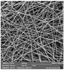 Polymers 14 01102 i014