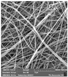 Polymers 14 01102 i016