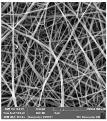 Polymers 14 01102 i018