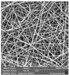 Polymers 14 01102 i019