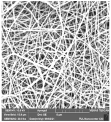 Polymers 14 01102 i020