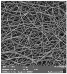 Polymers 14 01102 i021