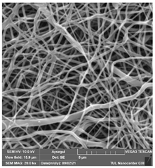 Polymers 14 01102 i022