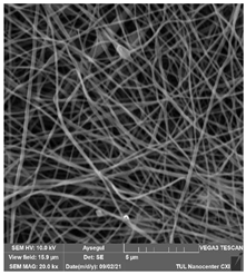 Polymers 14 01102 i023