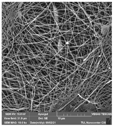 Polymers 14 01102 i024