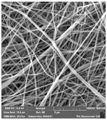 Polymers 14 01102 i025