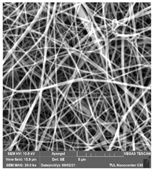 Polymers 14 01102 i026