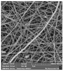 Polymers 14 01102 i027