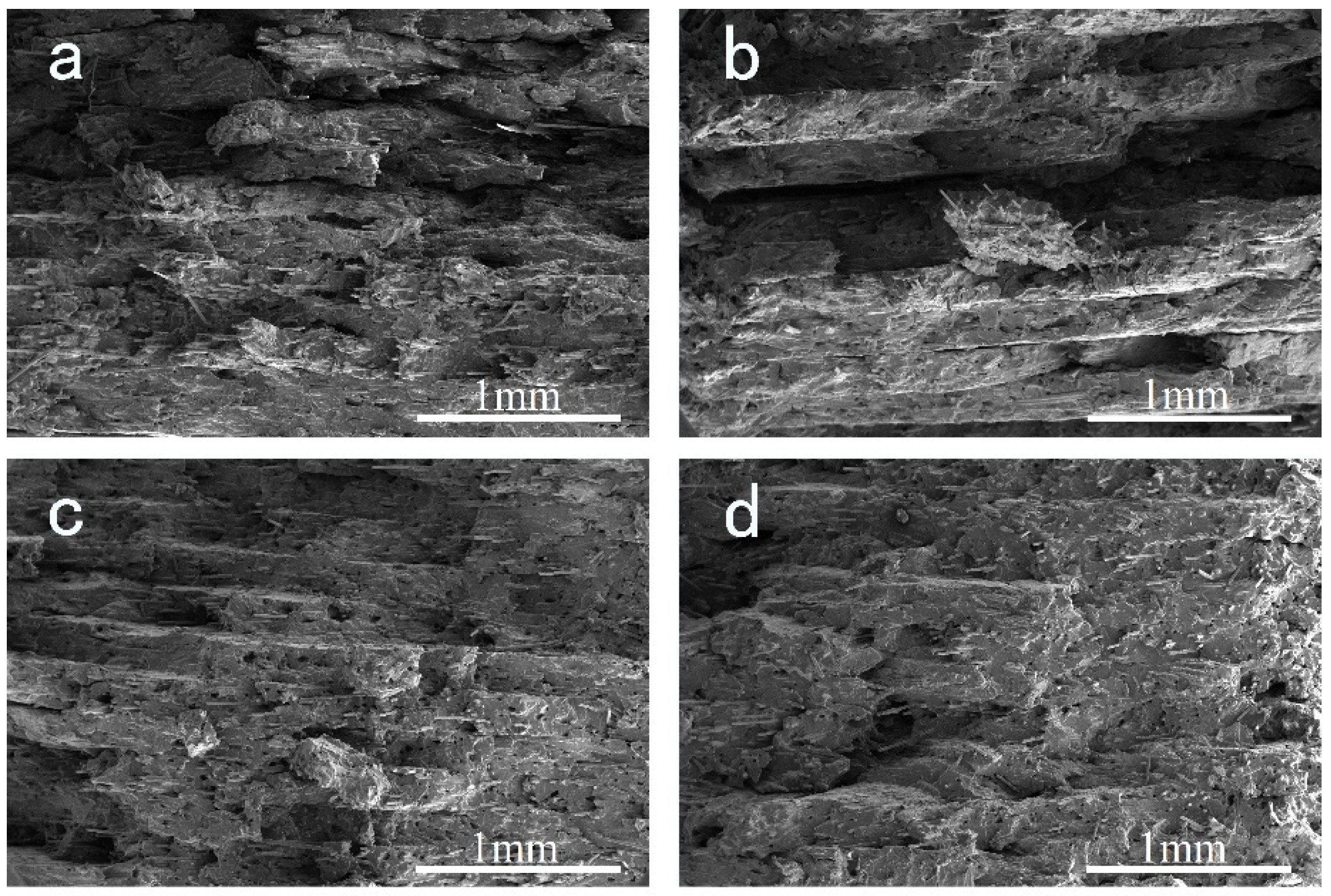 Polymers 14 01106 g009