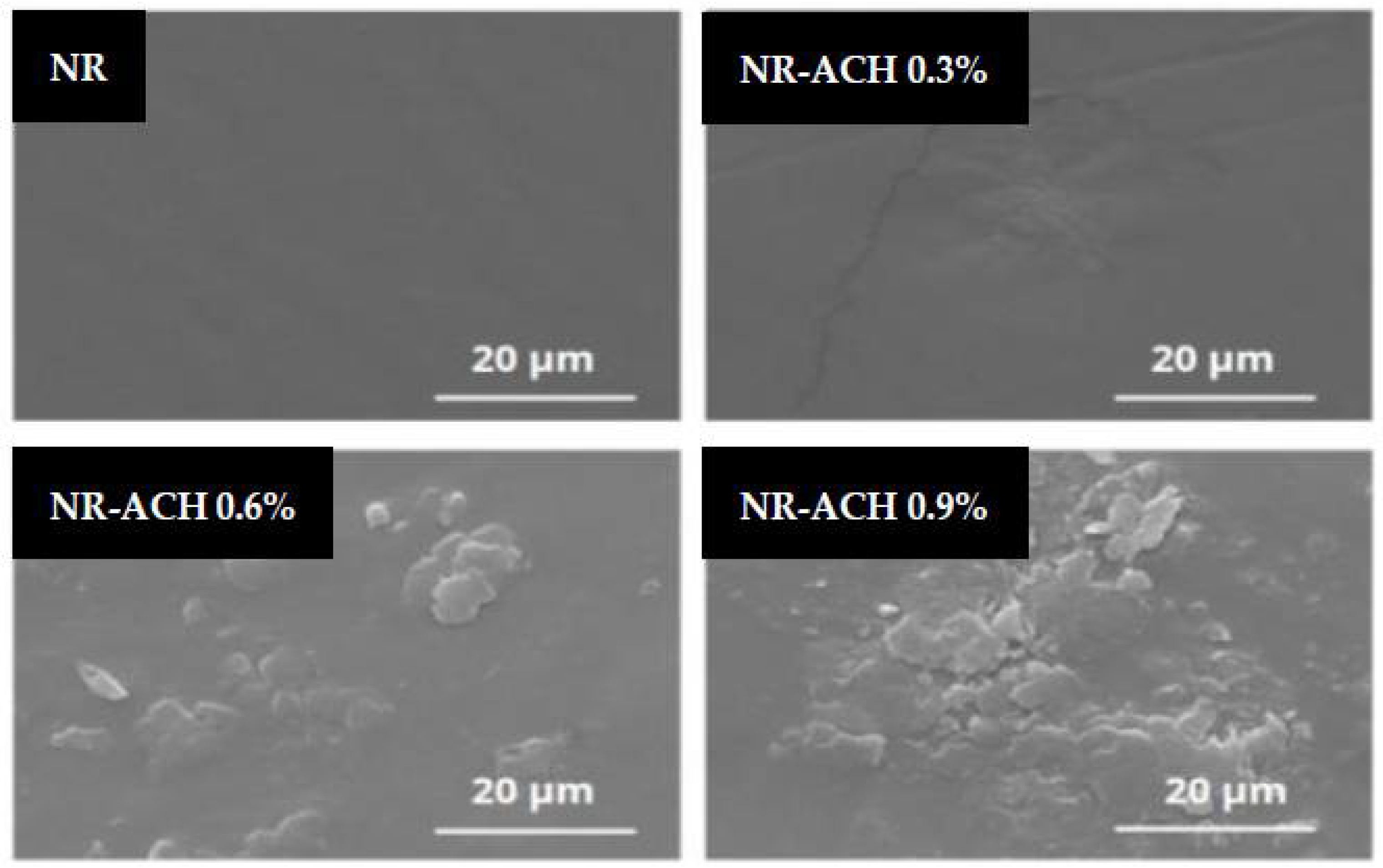Polymers 14 01110 g006
