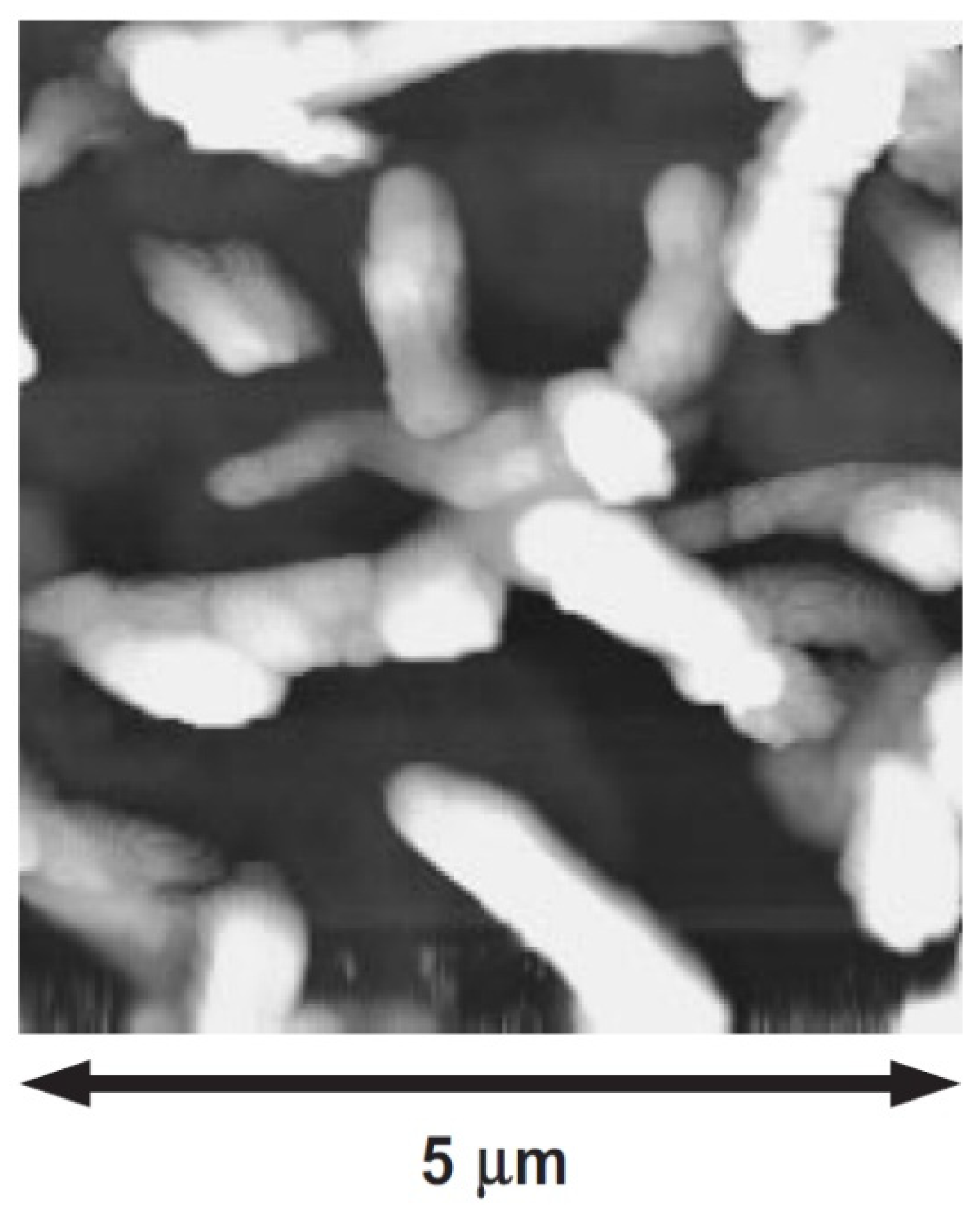 Polymers 14 01112 g007