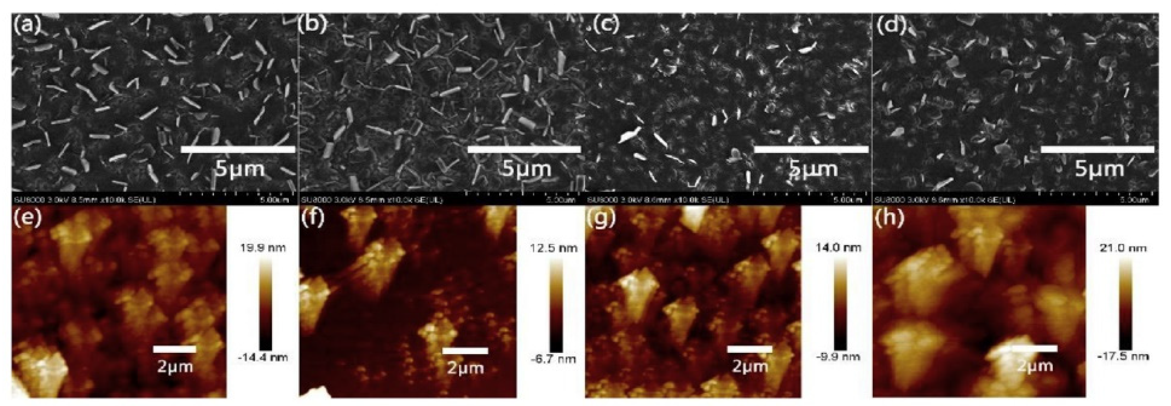 Polymers 14 01112 g011