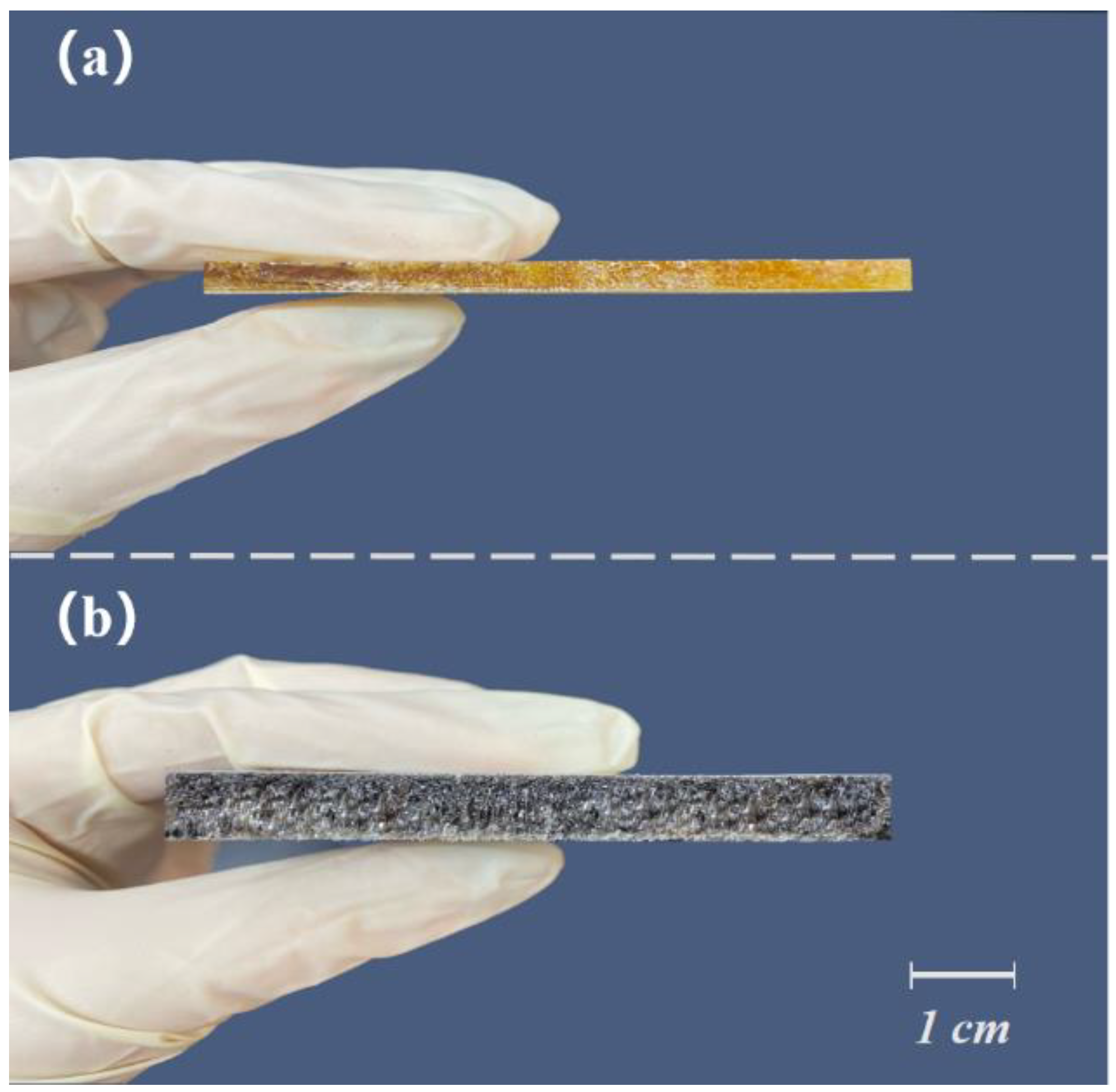 Polymers 14 01113 g001