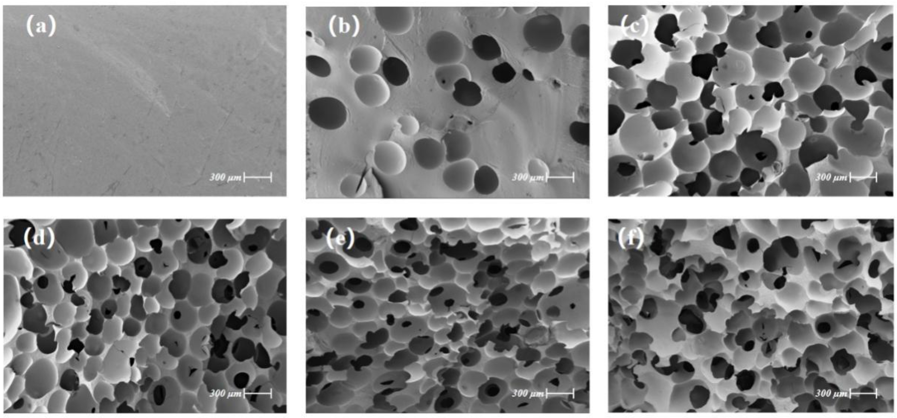 Polymers 14 01113 g005