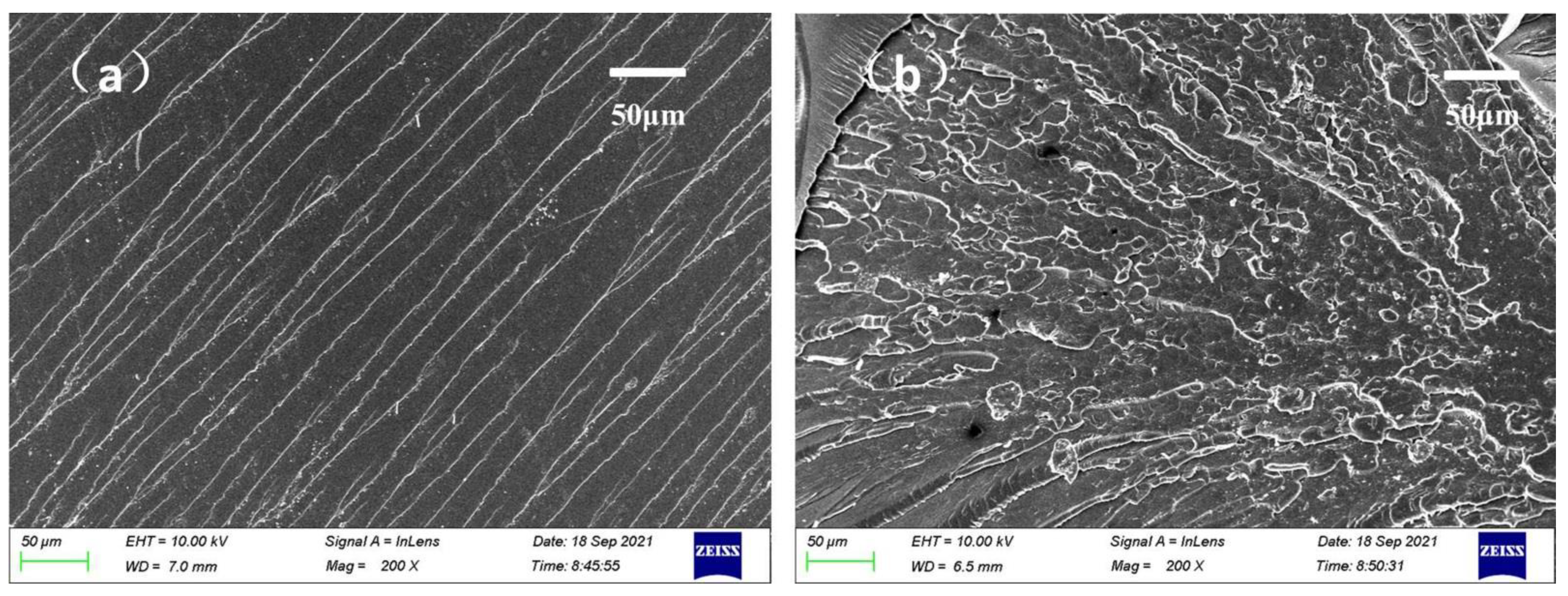 Polymers 14 01127 g008 Polymers 14 01127 g008