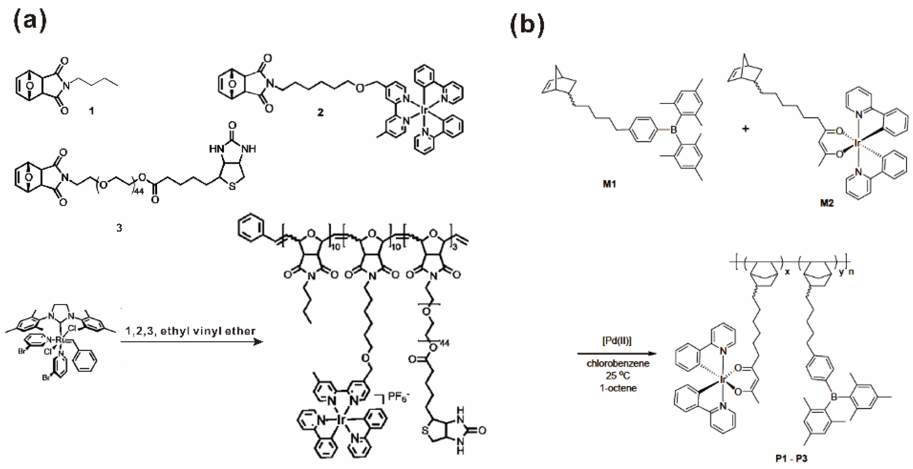 Polymers 14 01128 g002