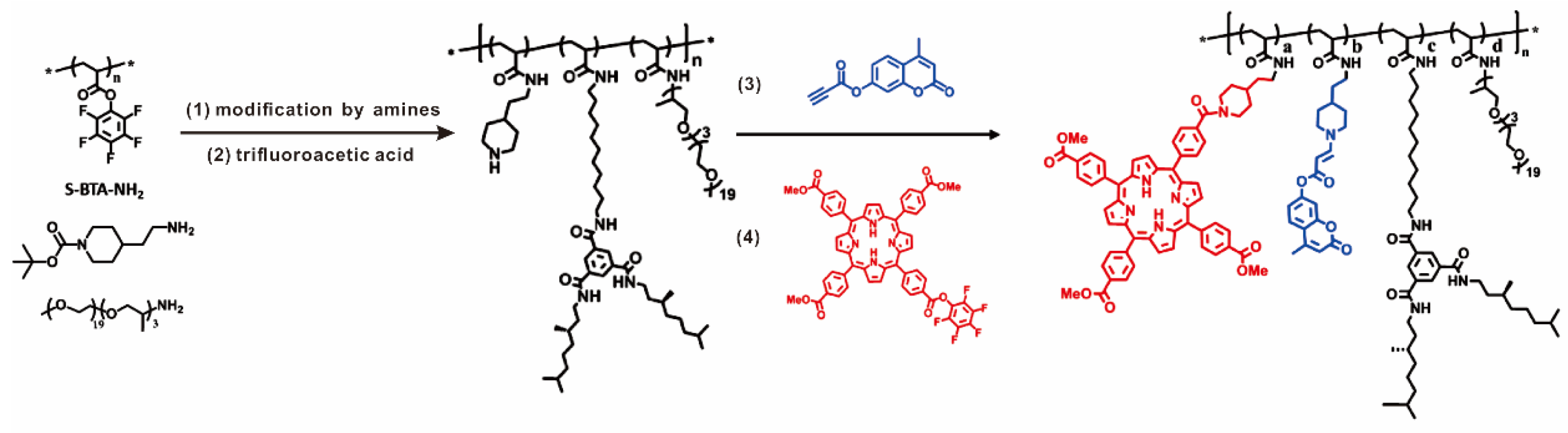 Polymers 14 01128 g005