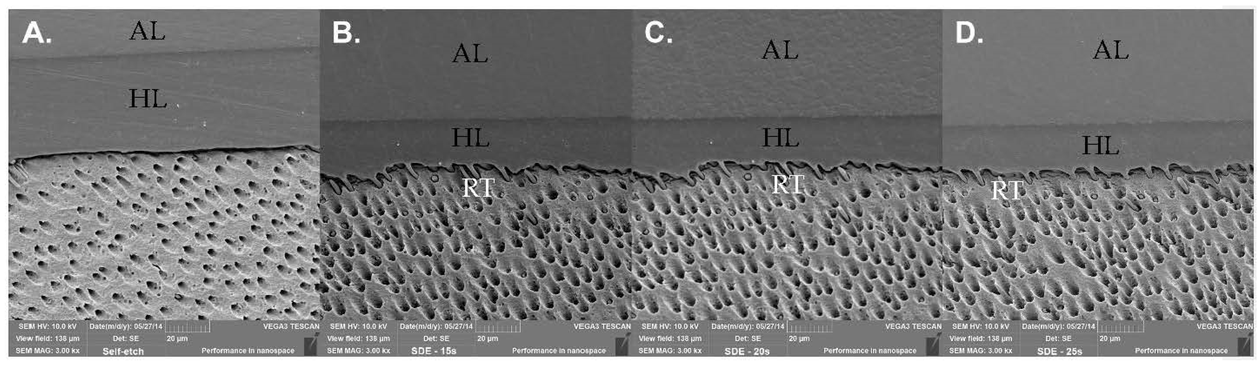Polymers 14 01129 g001