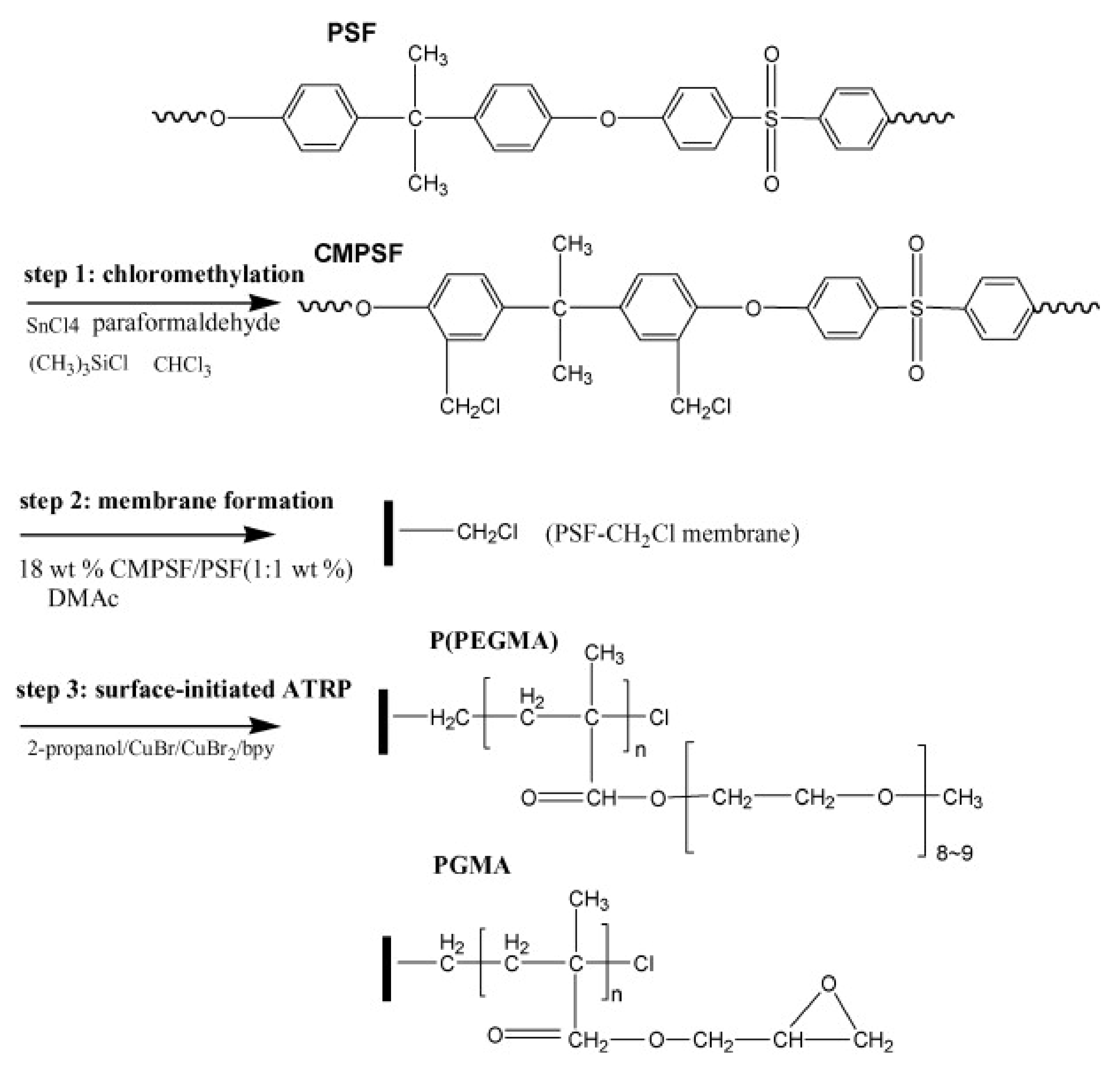 Polymers 14 01130 g005