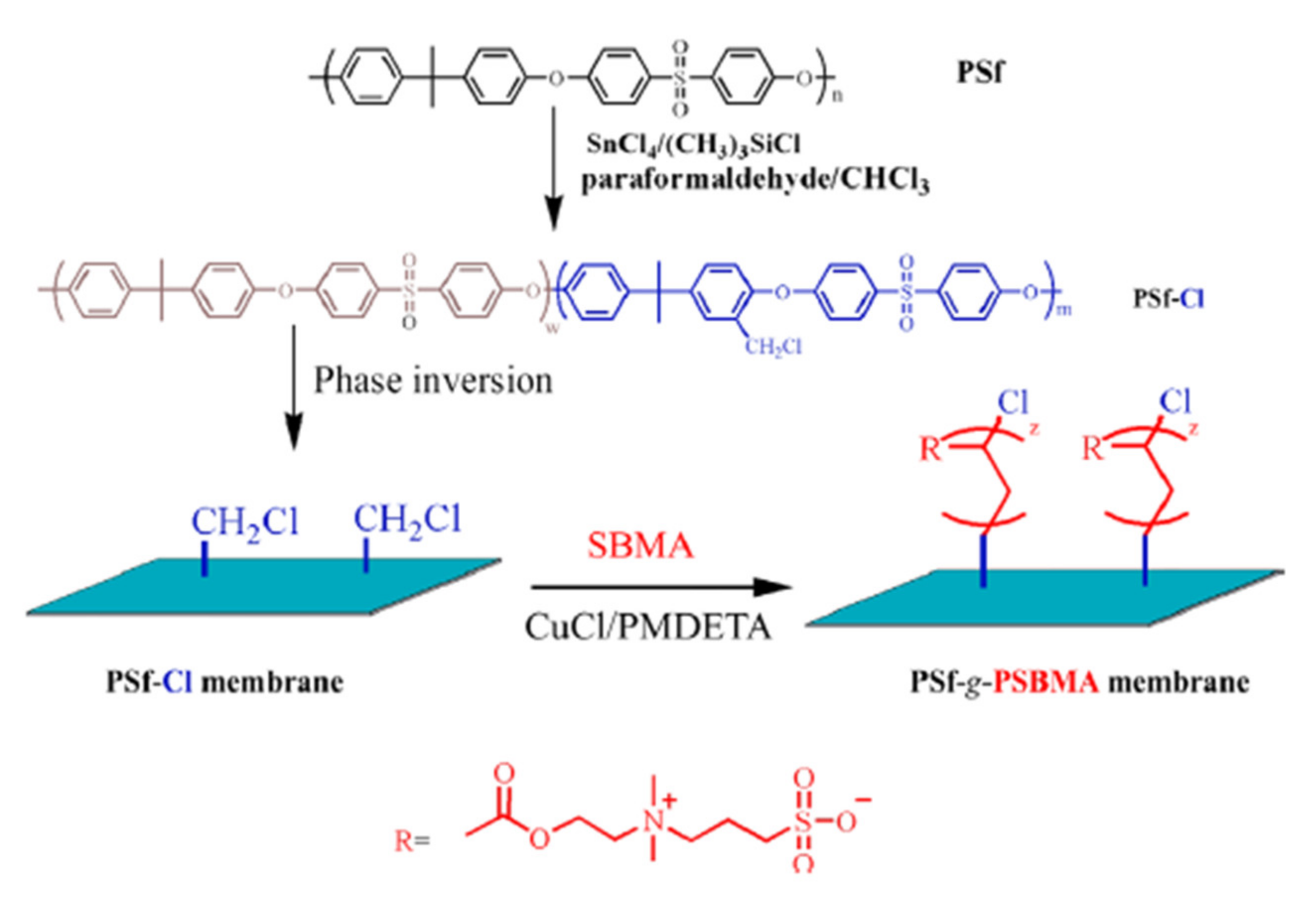Polymers 14 01130 g006