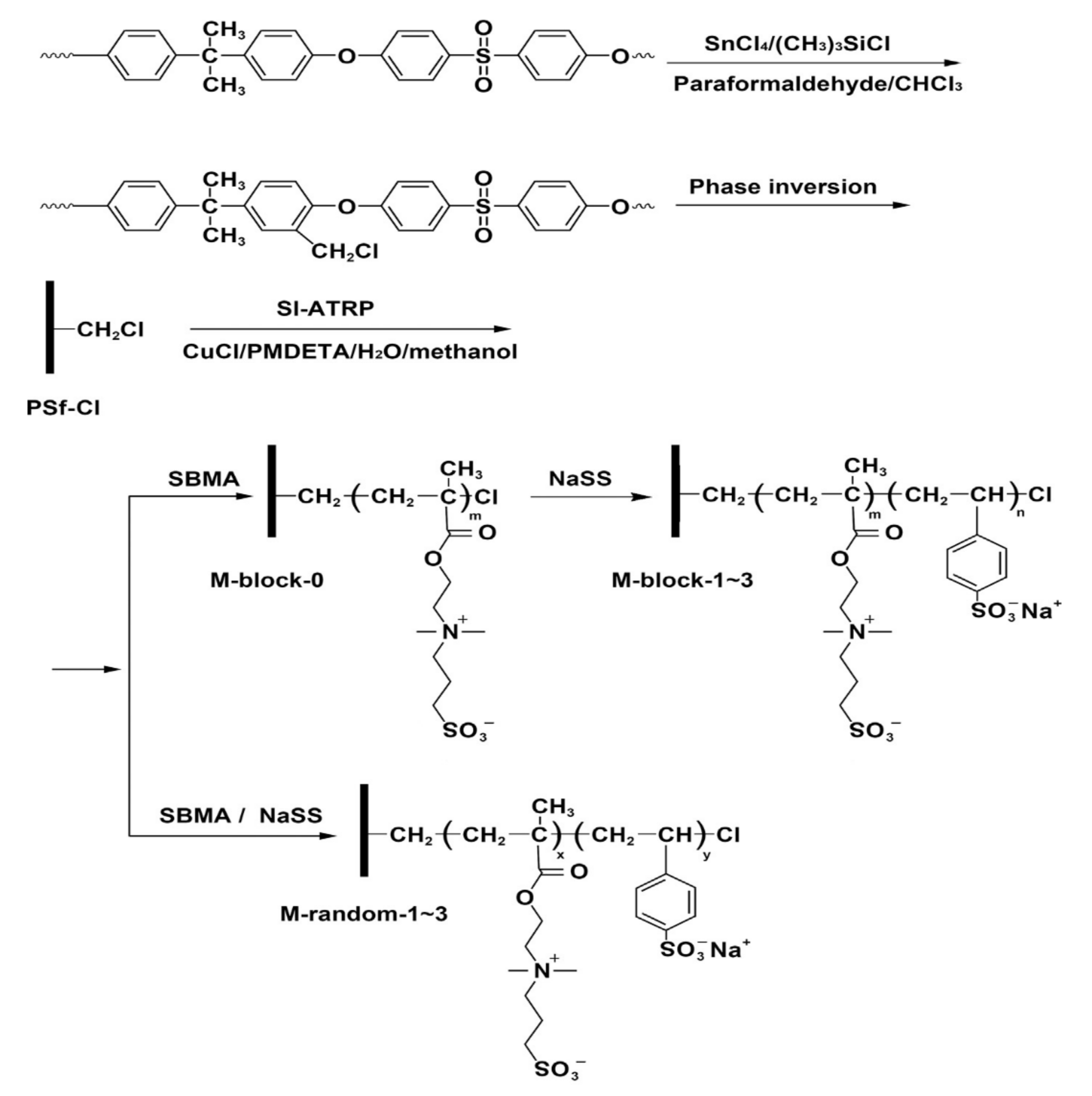 Polymers 14 01130 g007