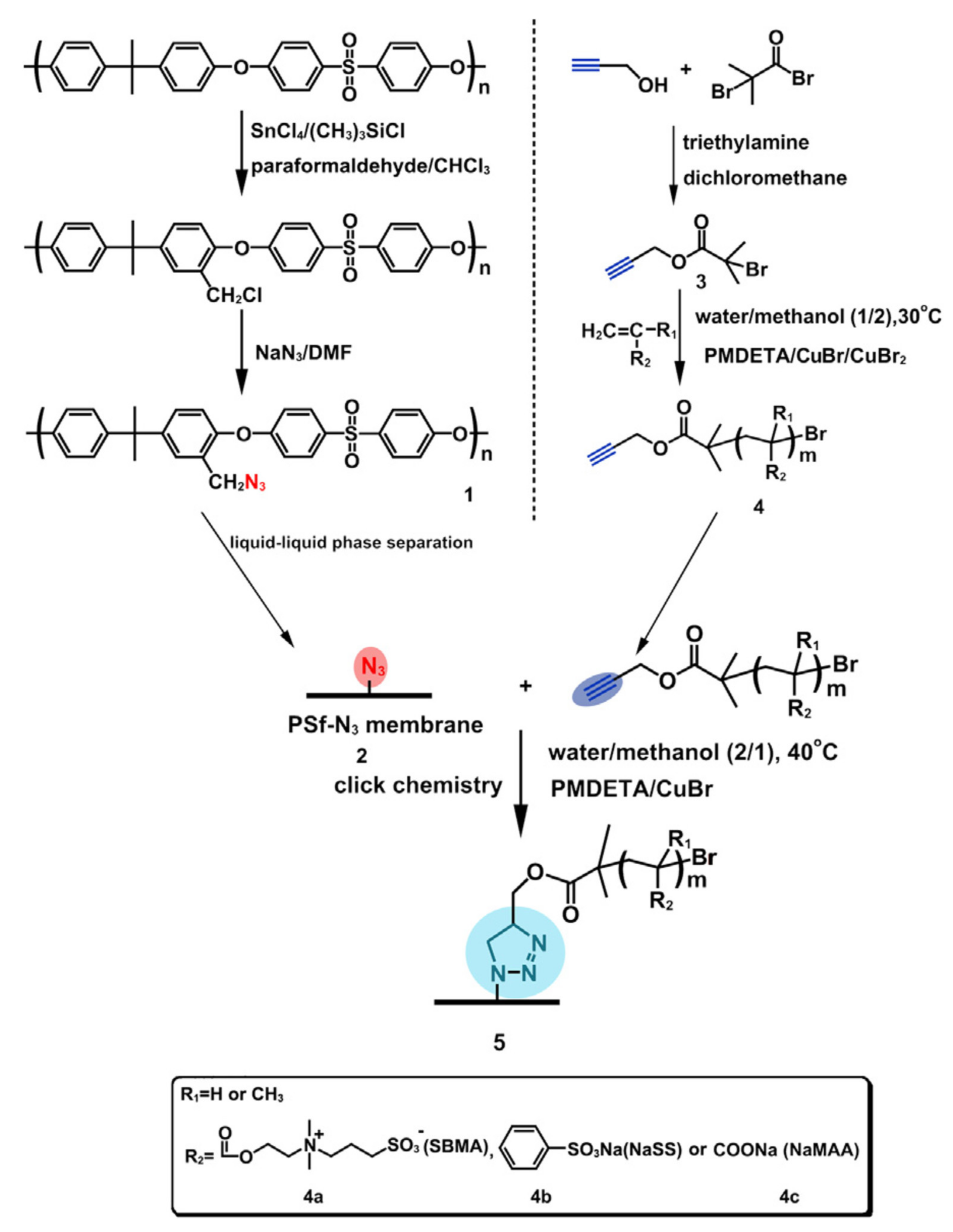 Polymers 14 01130 g008