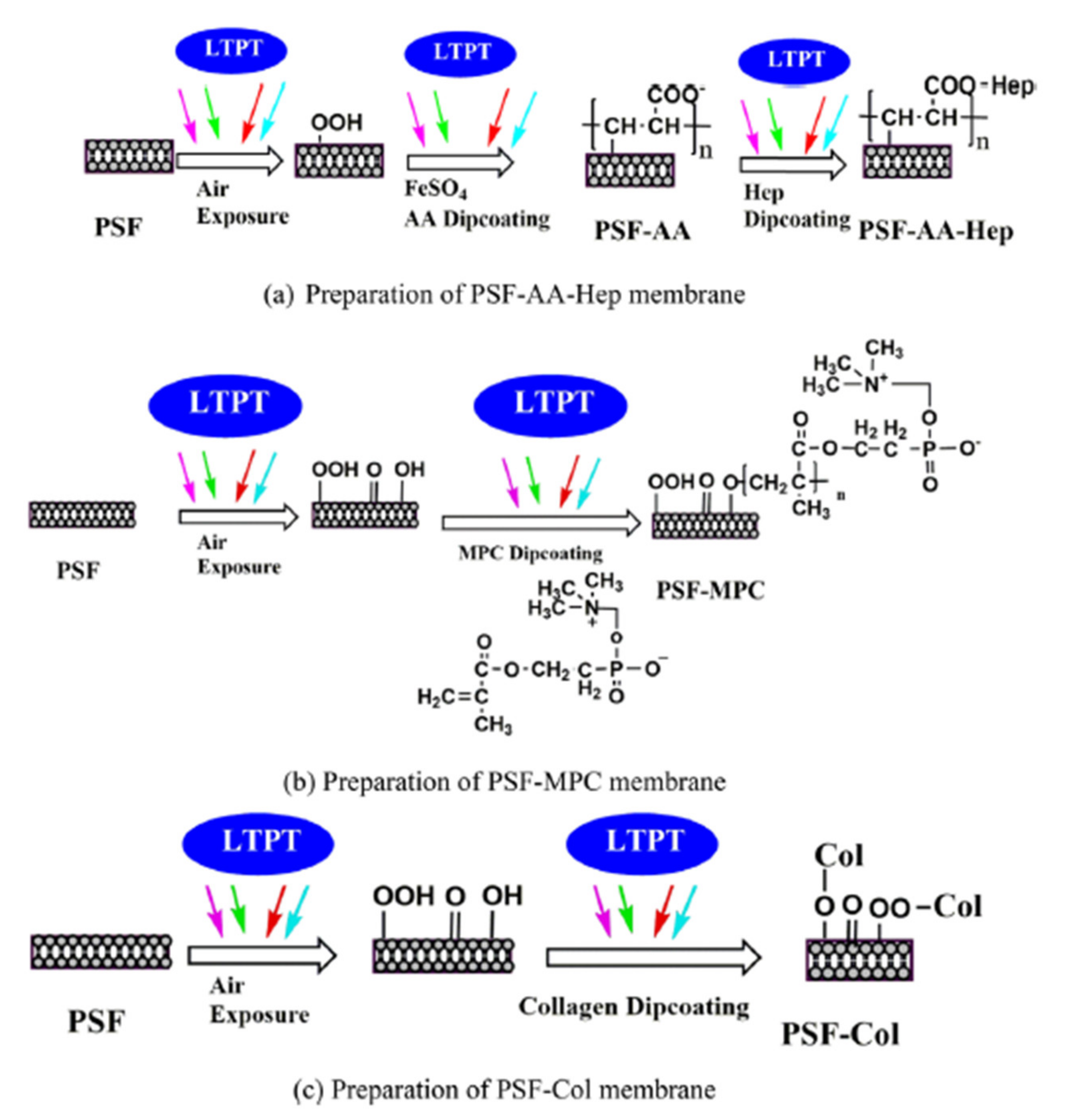 Polymers 14 01130 g009