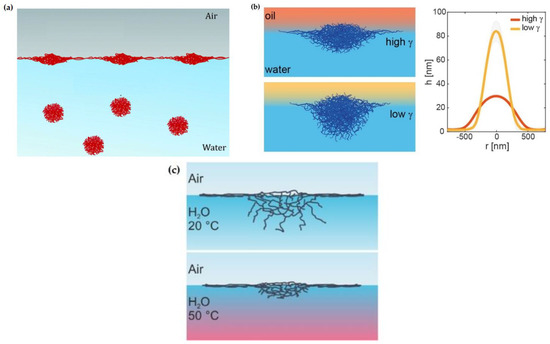 Polymers 14 01133 g001 550