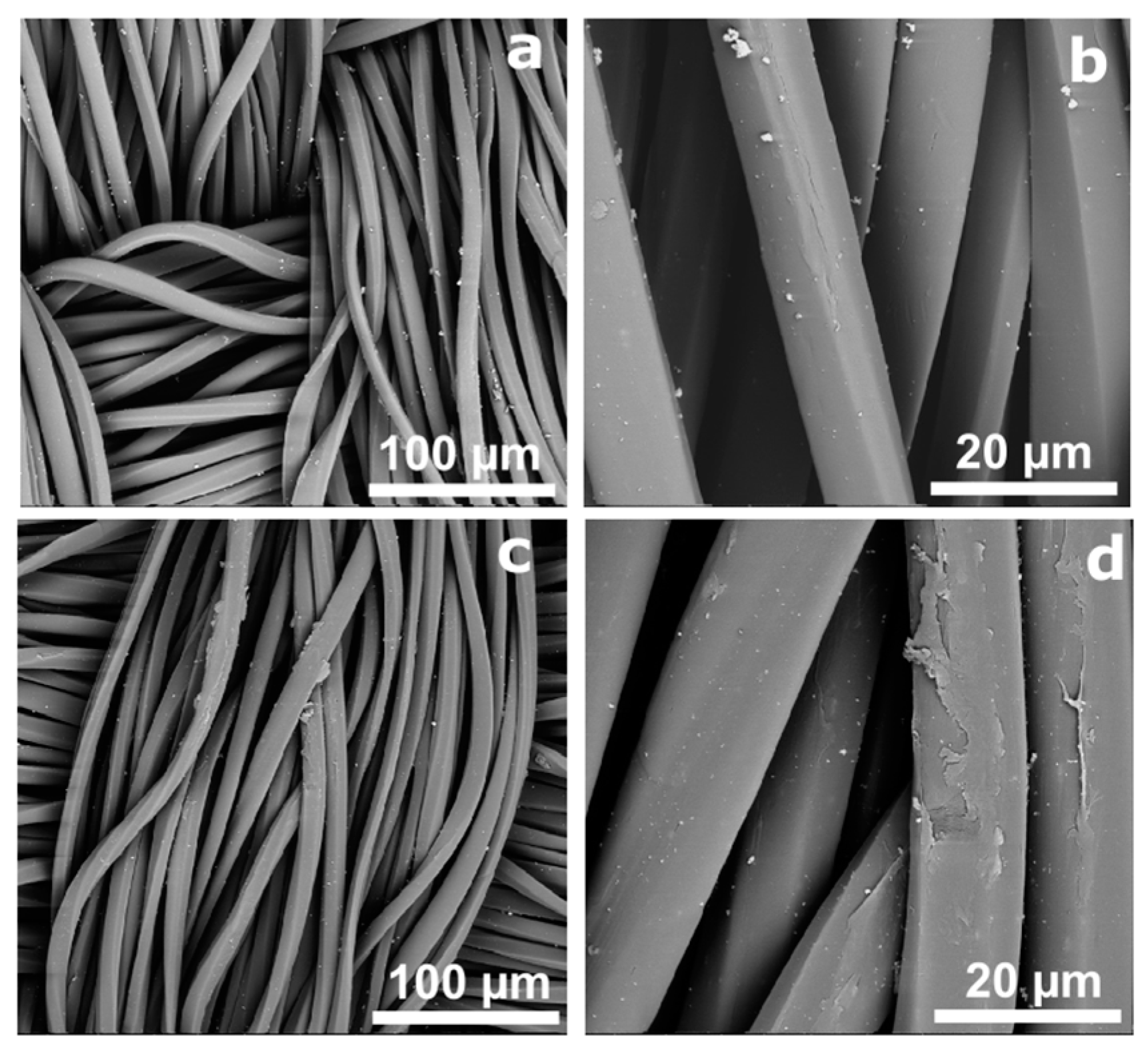 Polymers 14 01138 g002