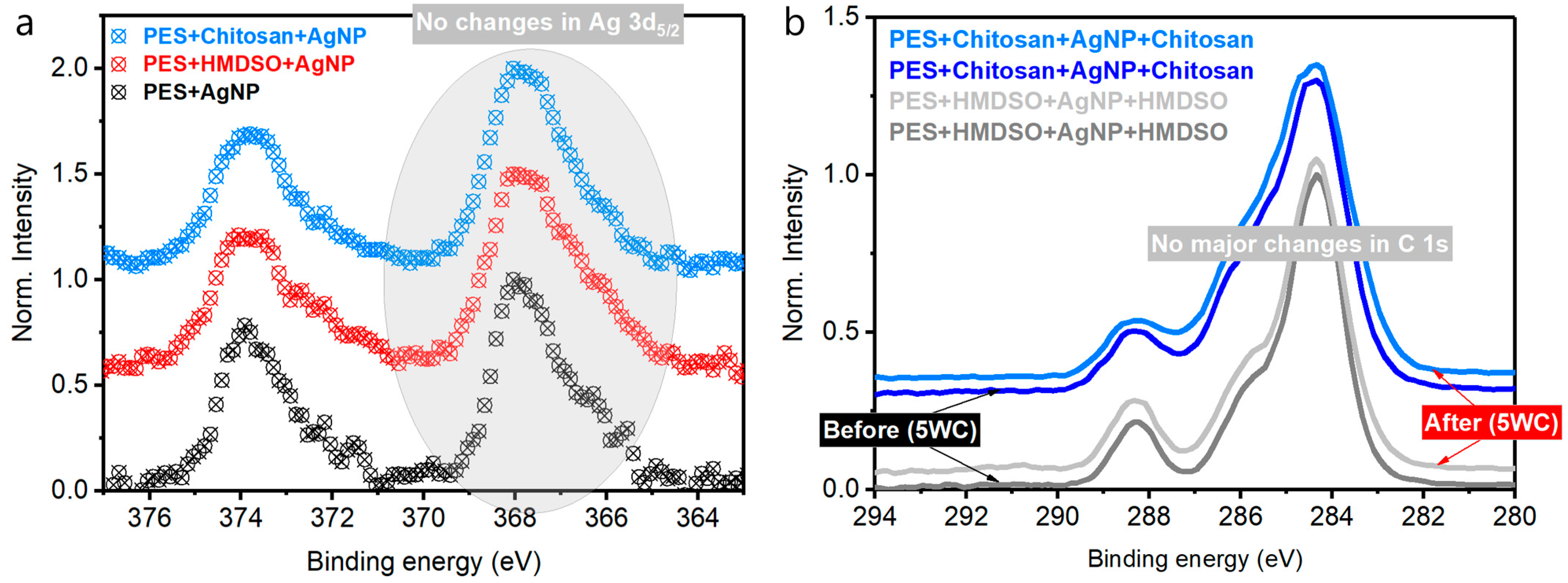 Polymers 14 01138 g005