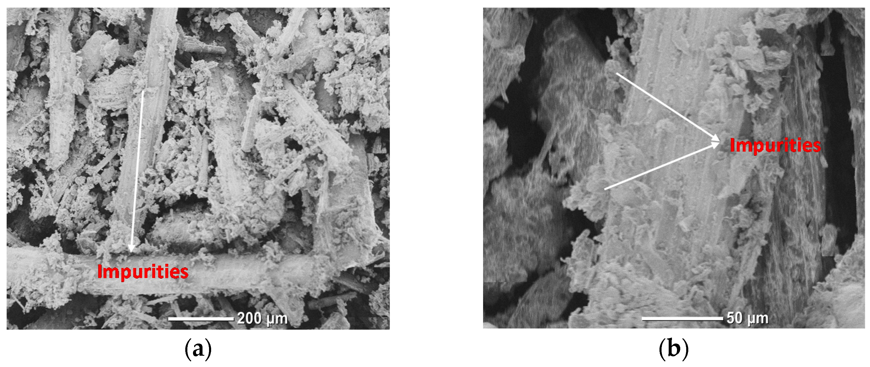 Polymers 14 01143 g002a