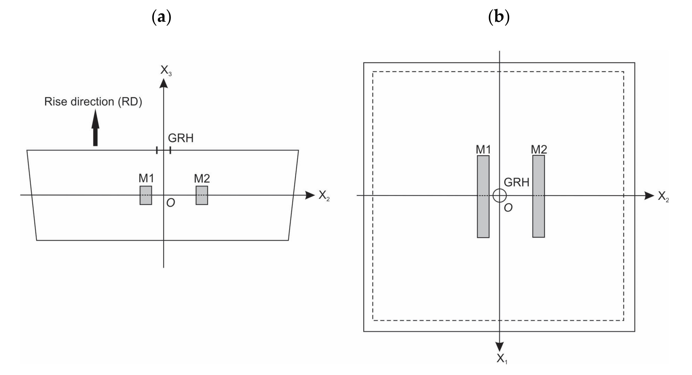 Polymers 14 01154 g002