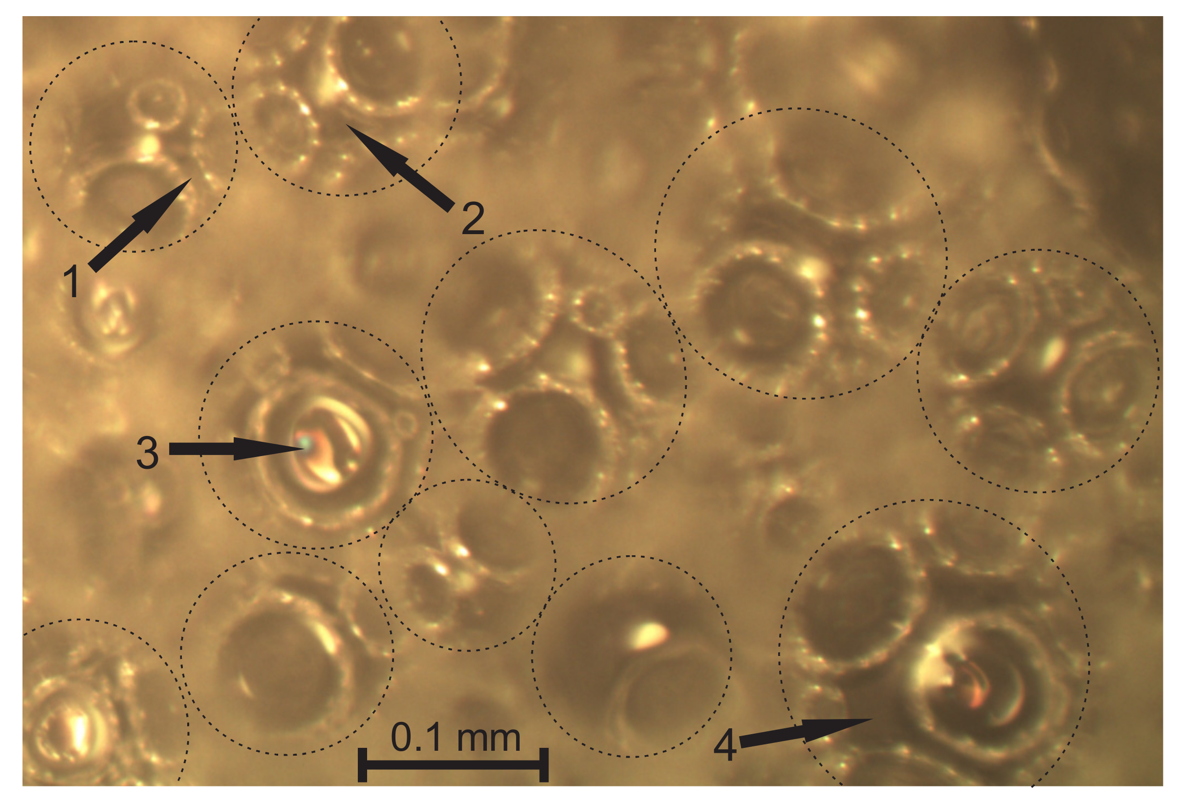 Polymers 14 01154 g004