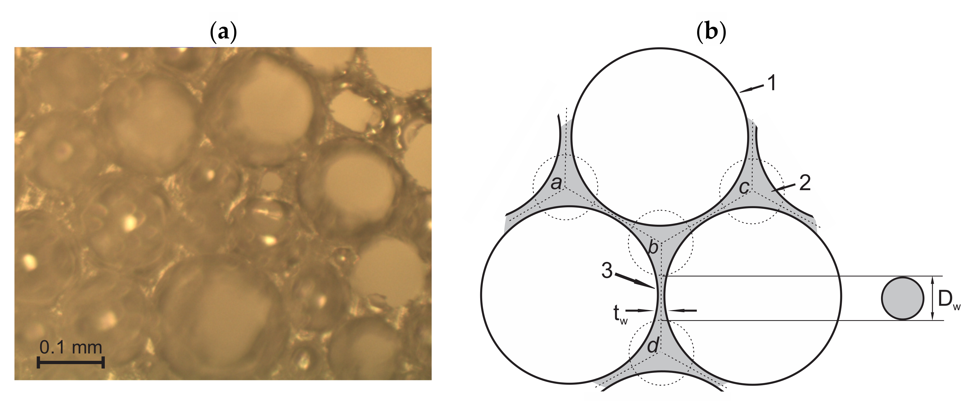 Polymers 14 01154 g005
