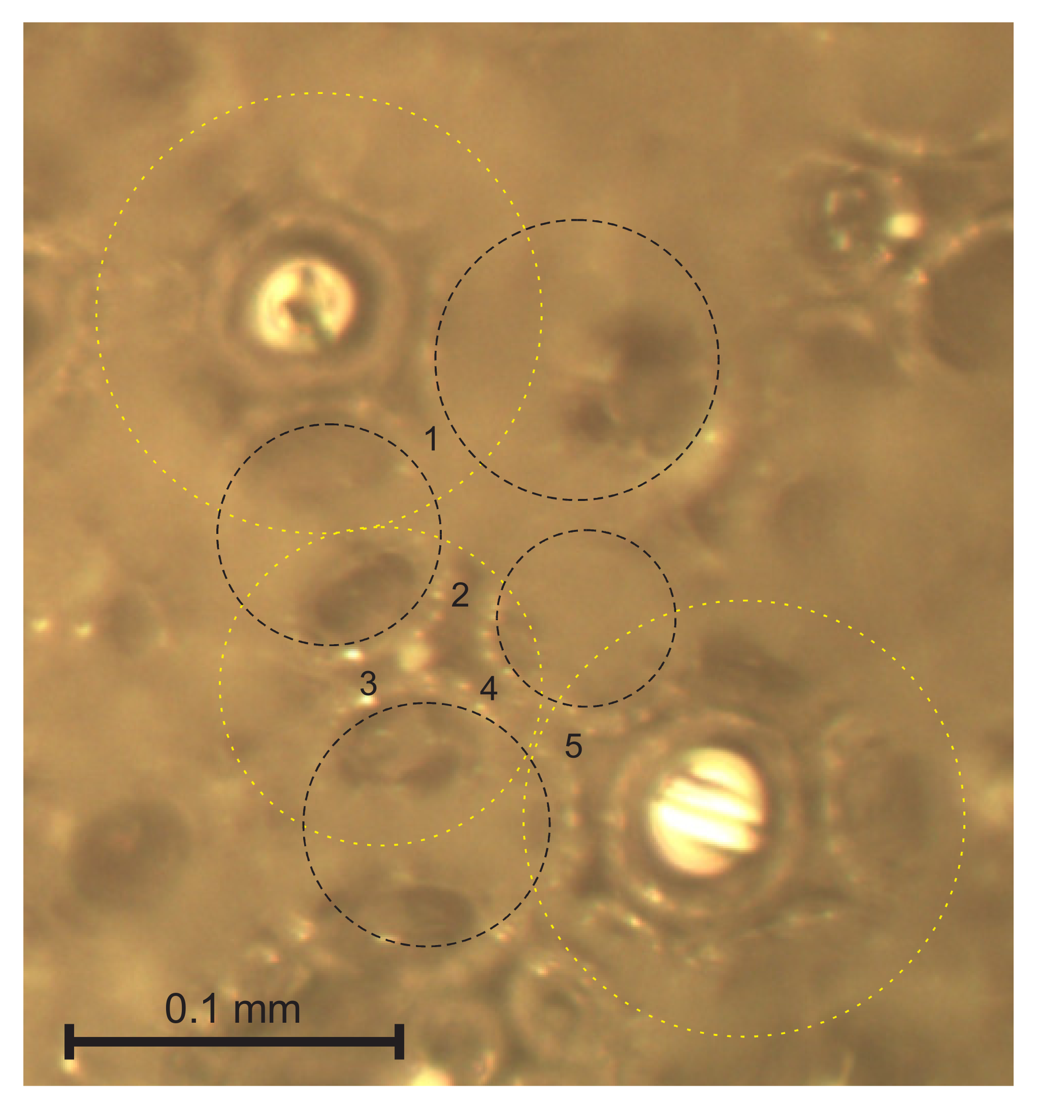 Polymers 14 01154 g006