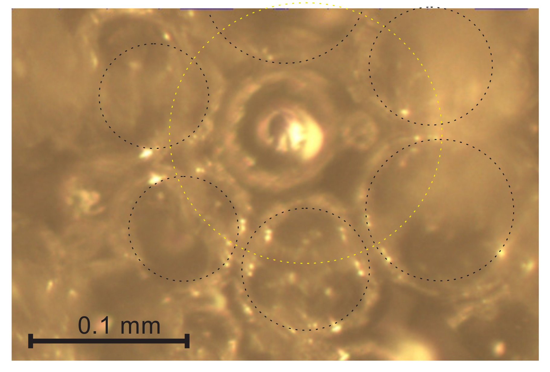 Polymers 14 01154 g007