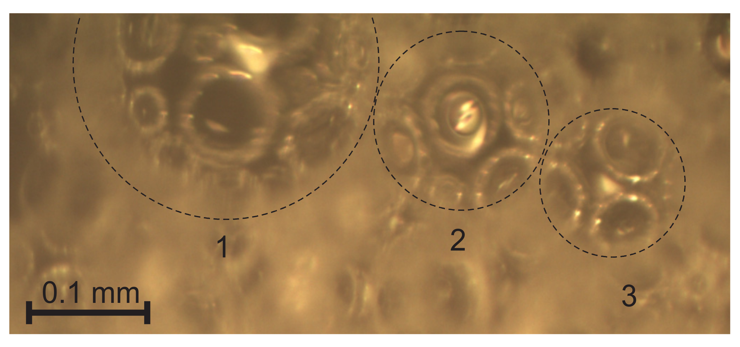Polymers 14 01154 g013
