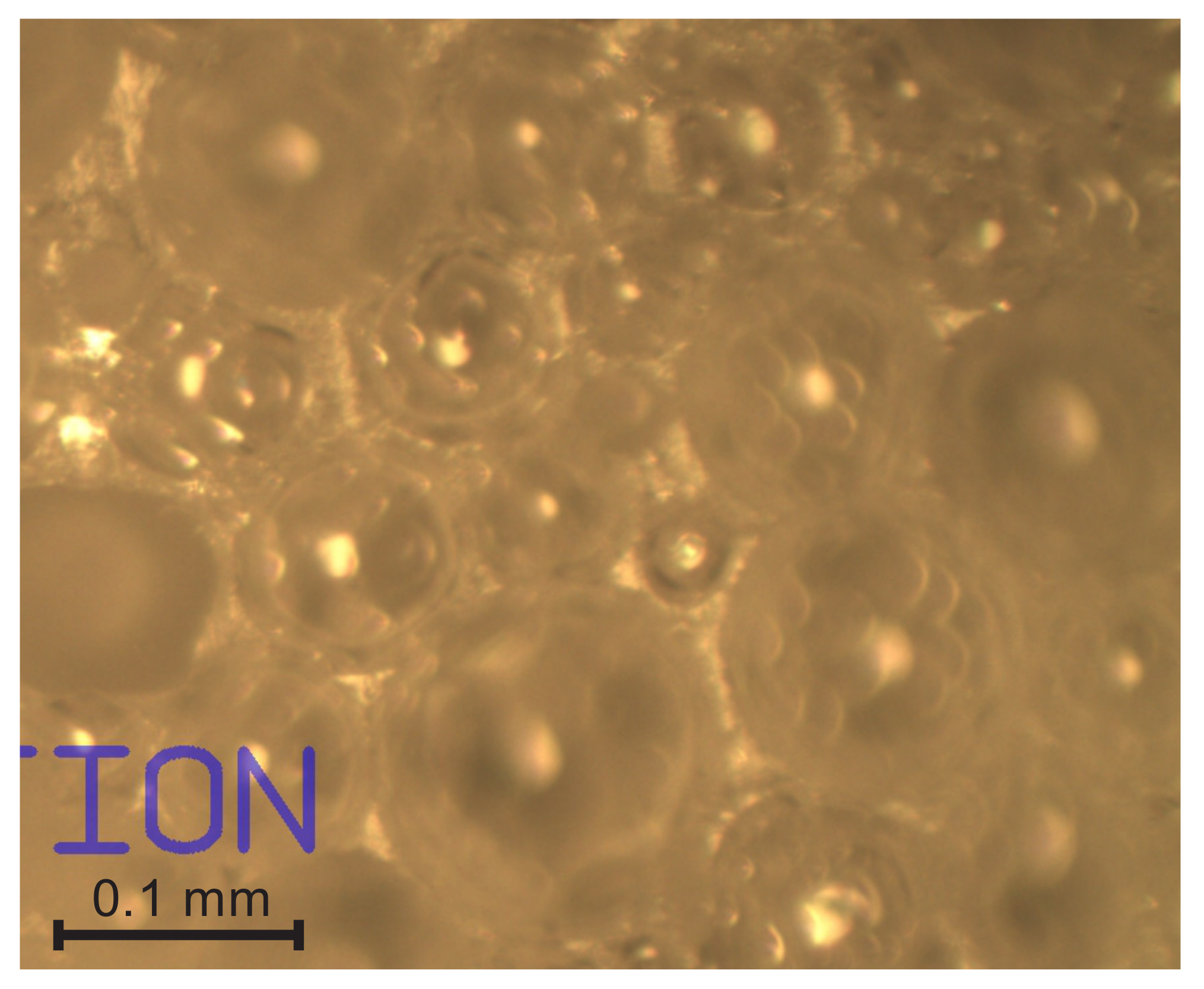 Polymers 14 01154 g014