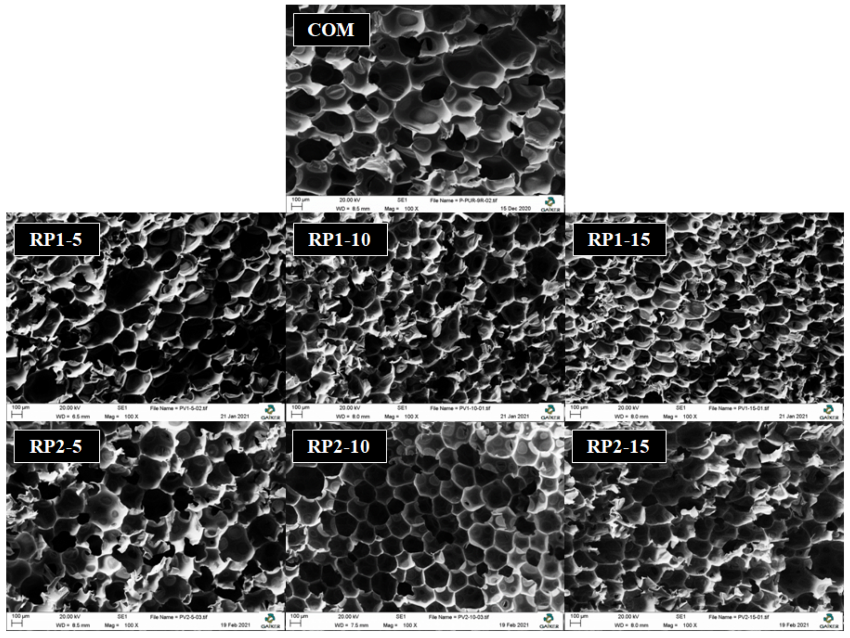 Polymers 14 01157 g008