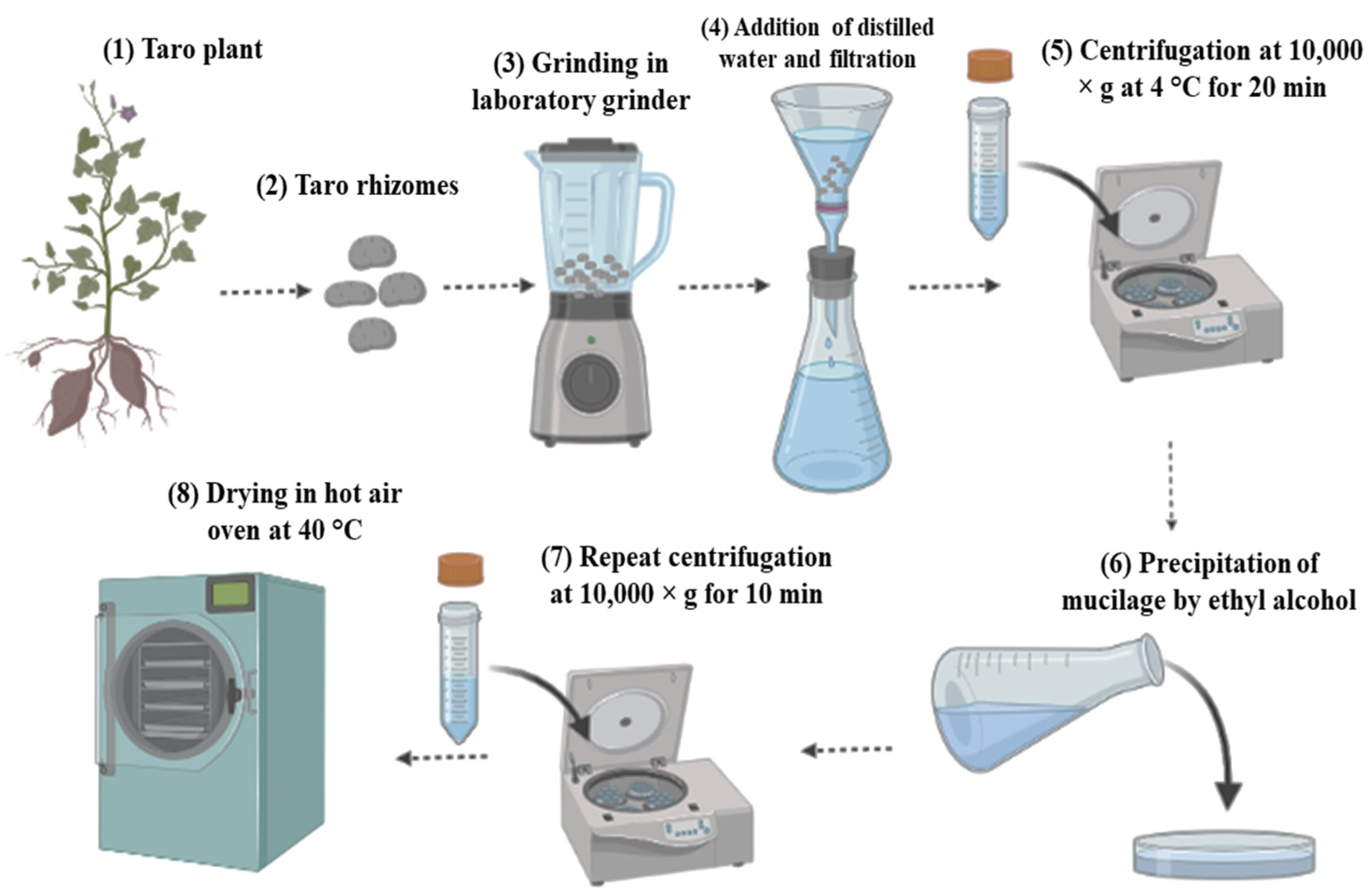 Polymers 14 01163 g001