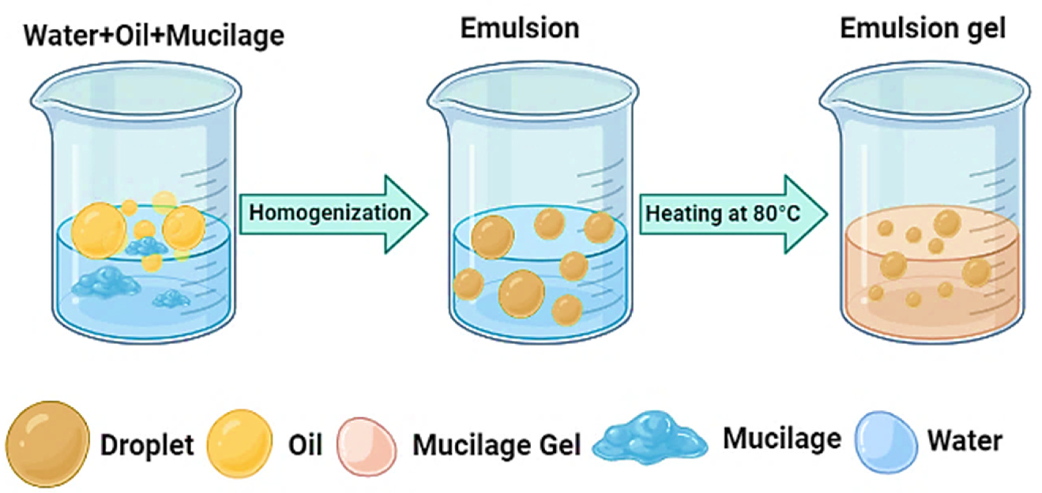 Polymers 14 01163 g003