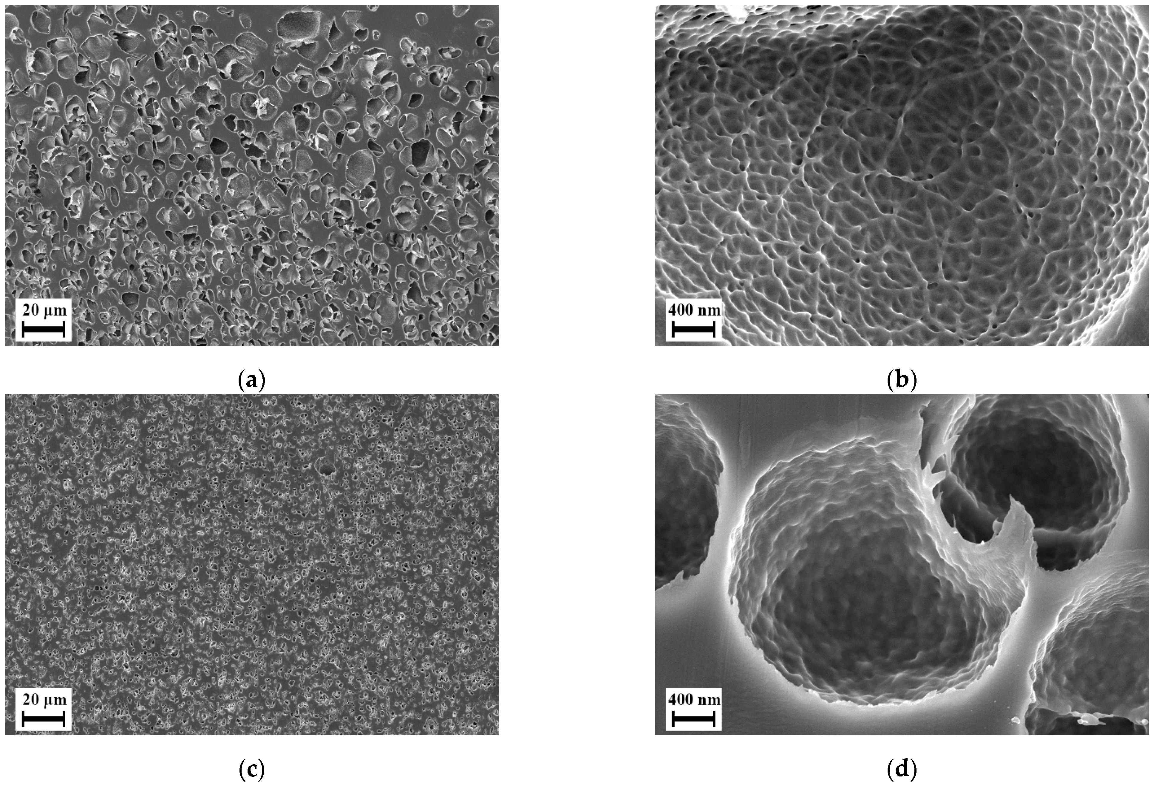 Polymers 14 01177 g006