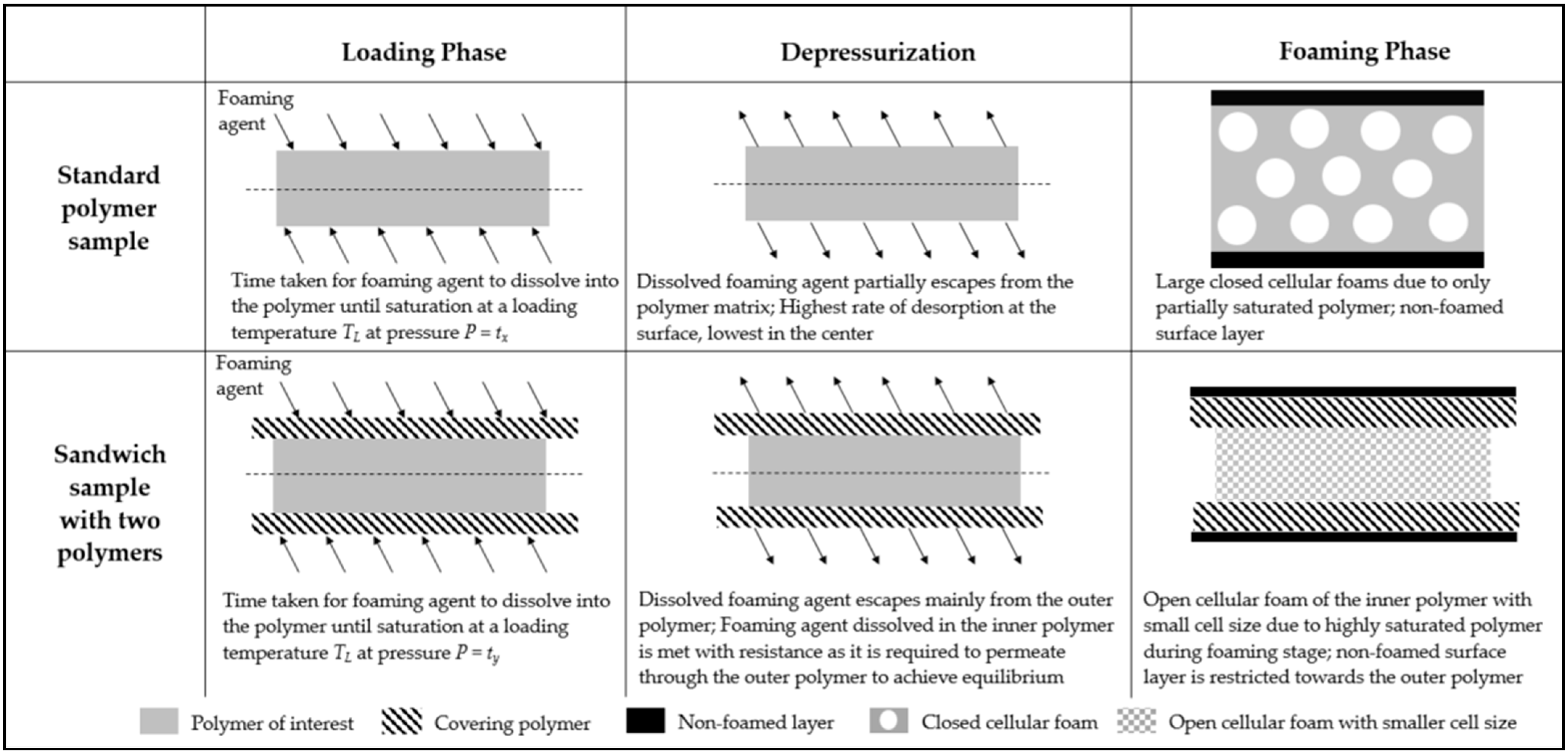 Polymers 14 01177 g013
