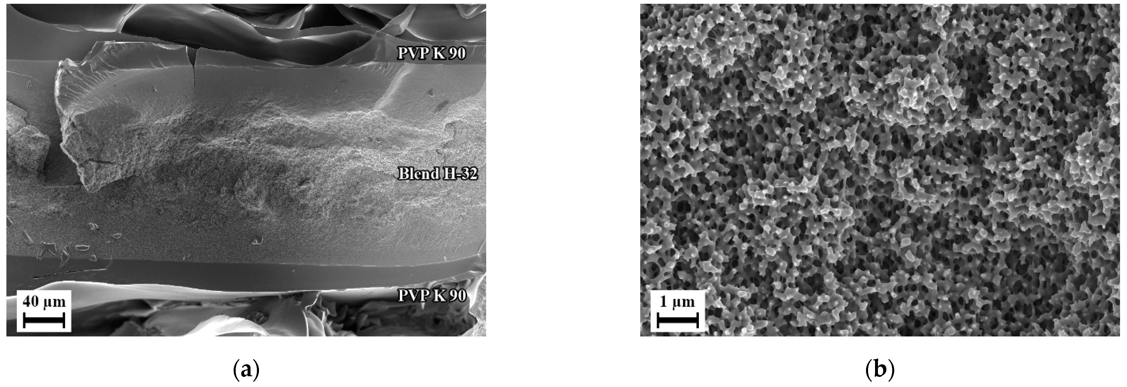 Polymers 14 01177 g014