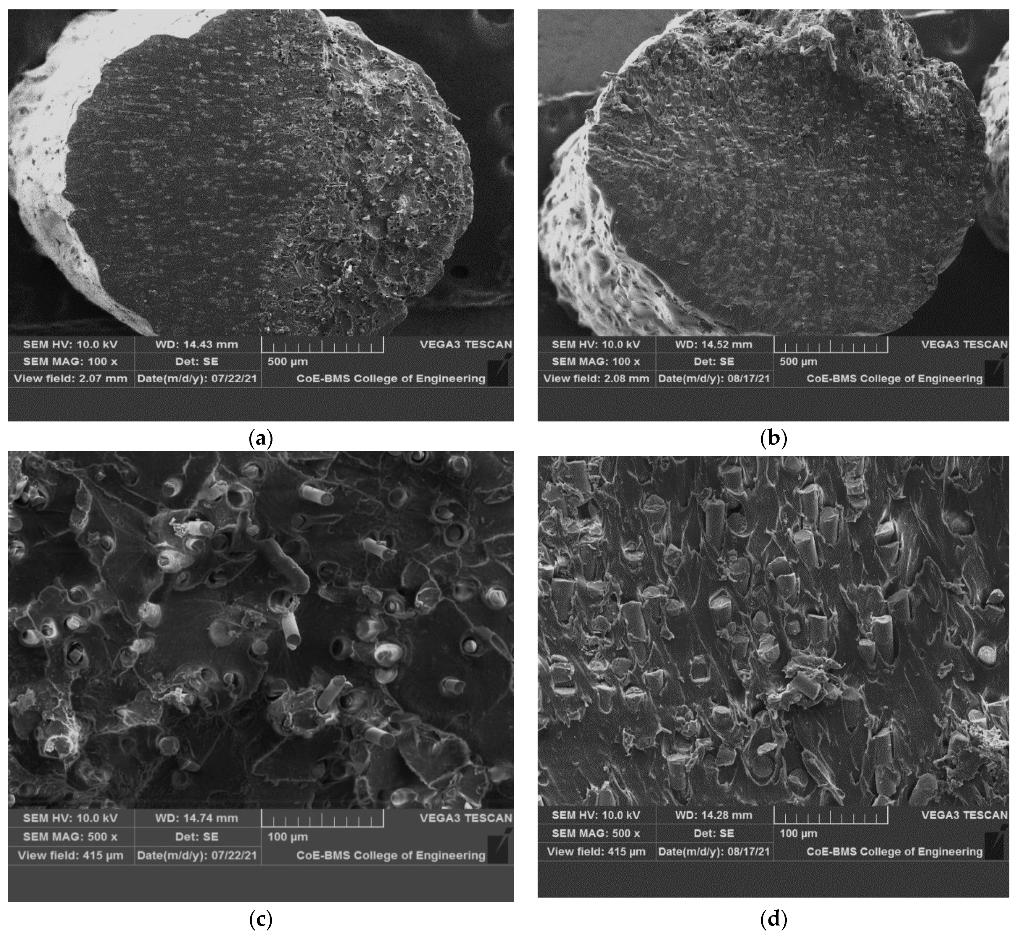 Polymers 14 01182 g007a